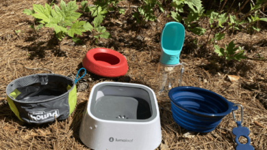 Convenience of Travel Dog Bowls with Lids