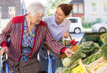 A Healthy Lifestyle Companion