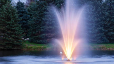 Safety Meets Style: Enhancing Your Outdoor Space with Practical Fountain Lights