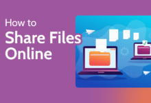 Share Big Files Online Safely with Custom Branding