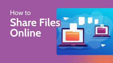 Share Big Files Online Safely with Custom Branding