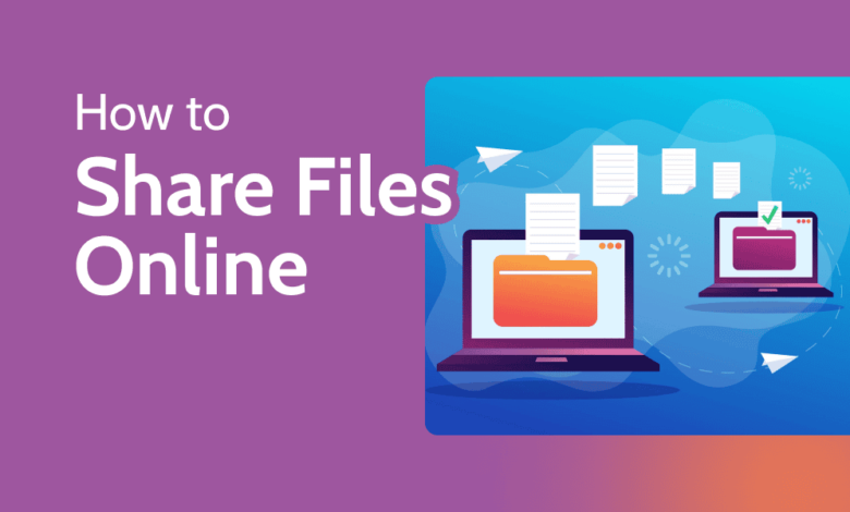 Share Big Files Online Safely with Custom Branding