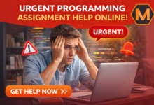 Why Programming Assignment Help is the Secret Weapon of Top CS Students