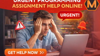 Why Programming Assignment Help is the Secret Weapon of Top CS Students