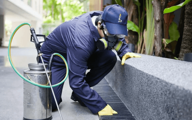 pest control