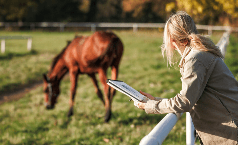 Maximizing Your Success at Horse Sales: Expert Tips from Bloodstock Auction