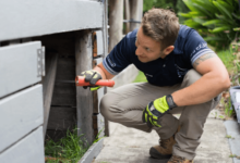 Essential Guide to Building Inspection in Nowra for a Pest-Free Property