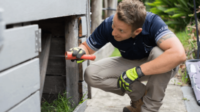 Essential Guide to Building Inspection in Nowra for a Pest-Free Property