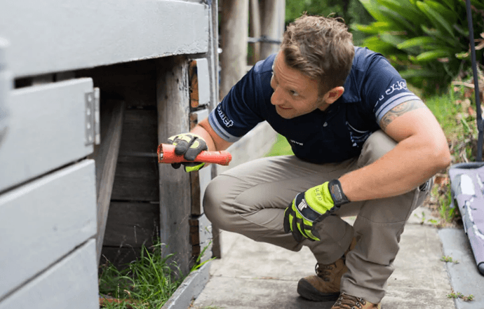 Essential Guide to Building Inspection in Nowra for a Pest-Free Property