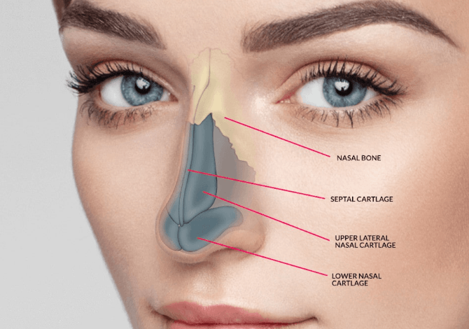 Rhinoplasty: Transform Your Look with Expert Care from Dr. Shahidi
