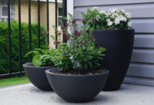 Transform Your Garden with Large Outdoor Pots and Planters