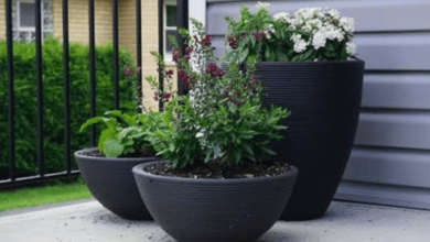 Transform Your Garden with Large Outdoor Pots and Planters