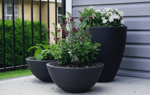 Transform Your Garden with Large Outdoor Pots and Planters